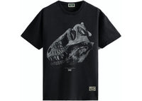 Kith AMNH T-Rex Vintage Tee Black